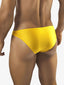 Joe Snyder Men's Bikini 01