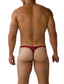String pour homme Joe Snyder Bul 02 Nouvelles couleurs