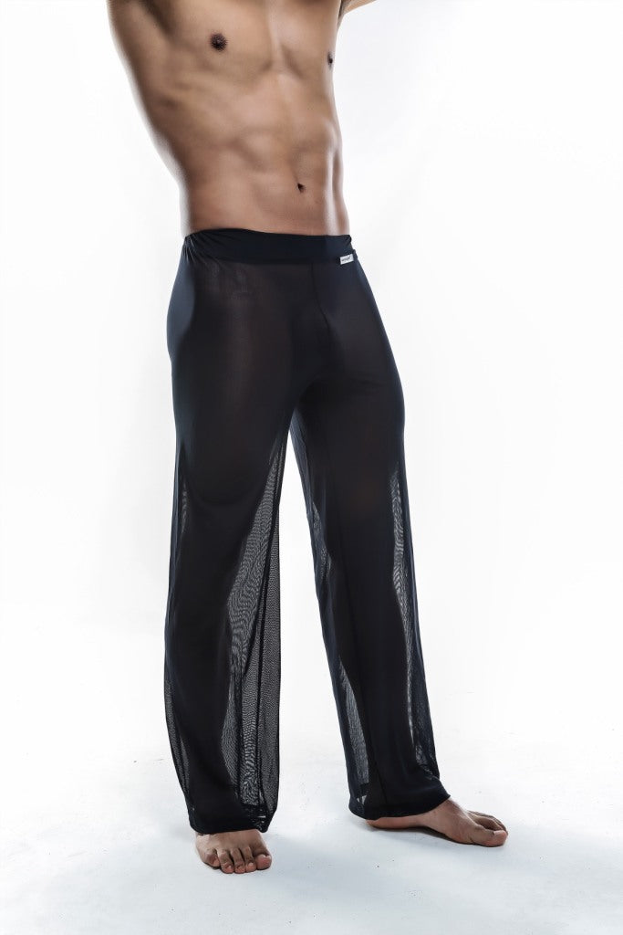 Joe Snyder Sheer Pants 30